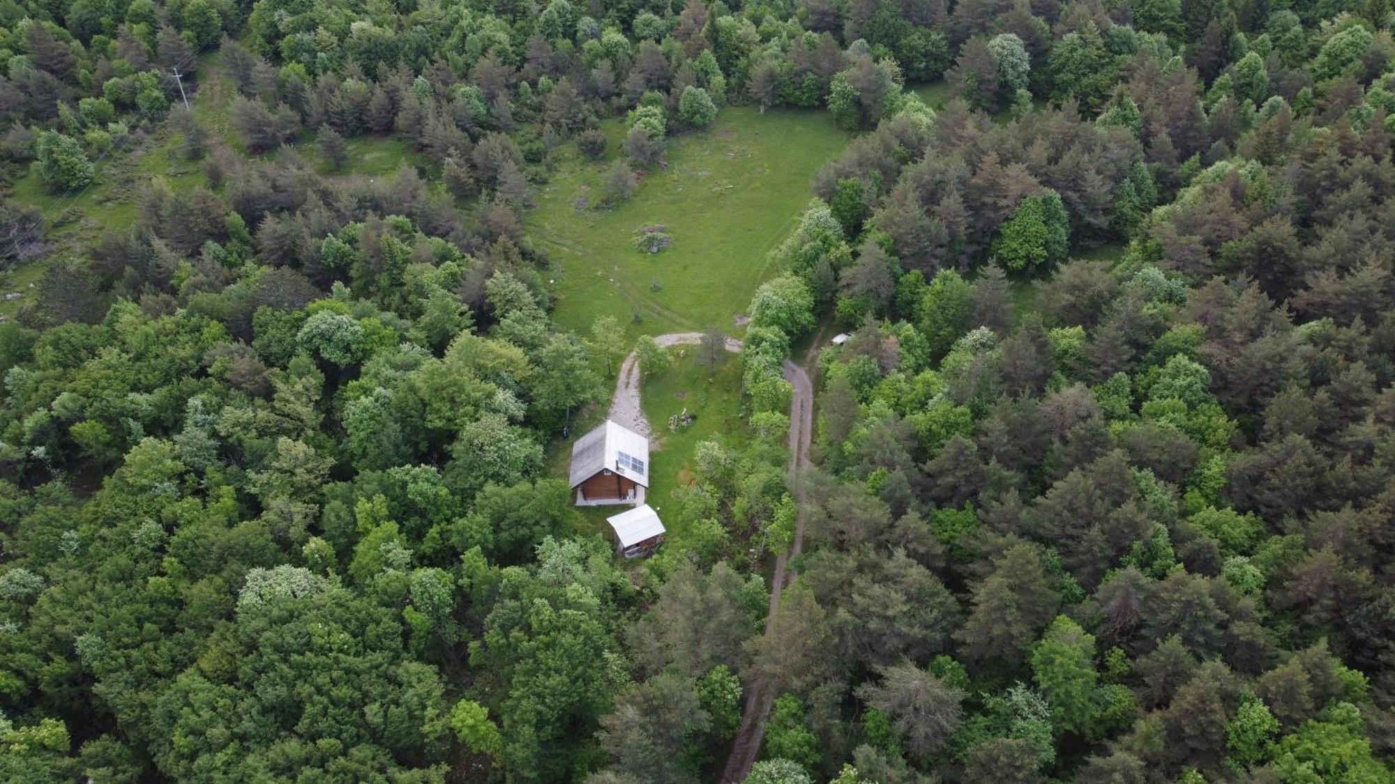 Podklanci-House In The Forest Knezak Exterior photo